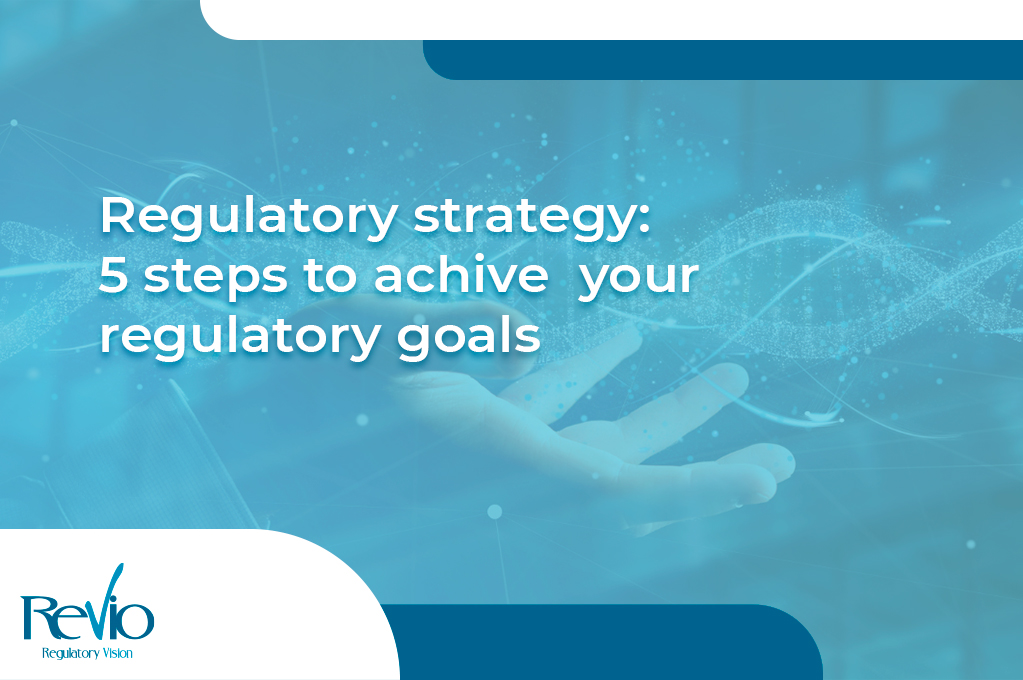 En este momento estás viendo Build your Regulatory Strategy