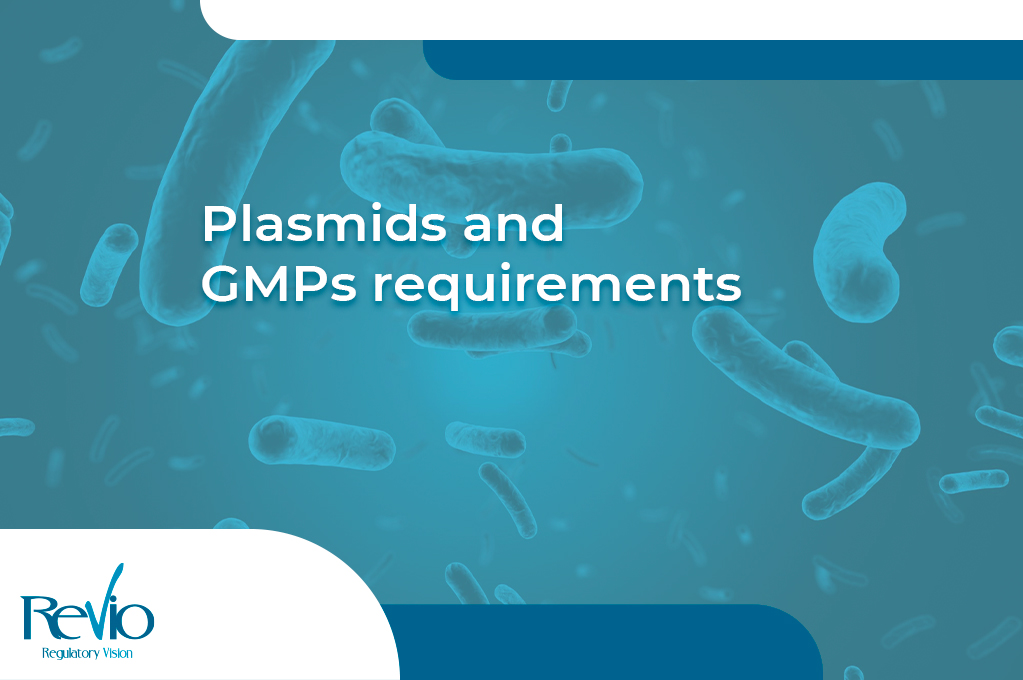 En este momento estás viendo Plasmids and GMPs requirements